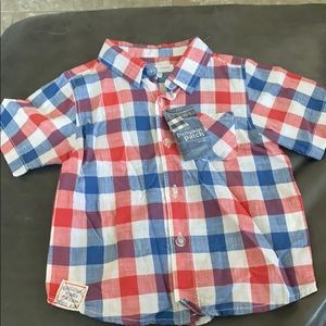 Pumpkin patch polo